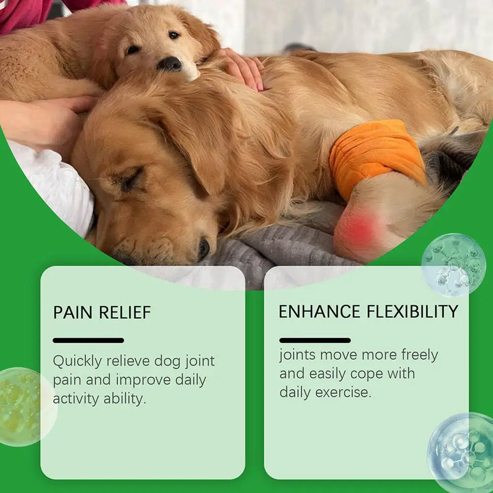 Hip & Joint Support Chews for Dogs — Glucosamine & Chondroitin | 80 Count