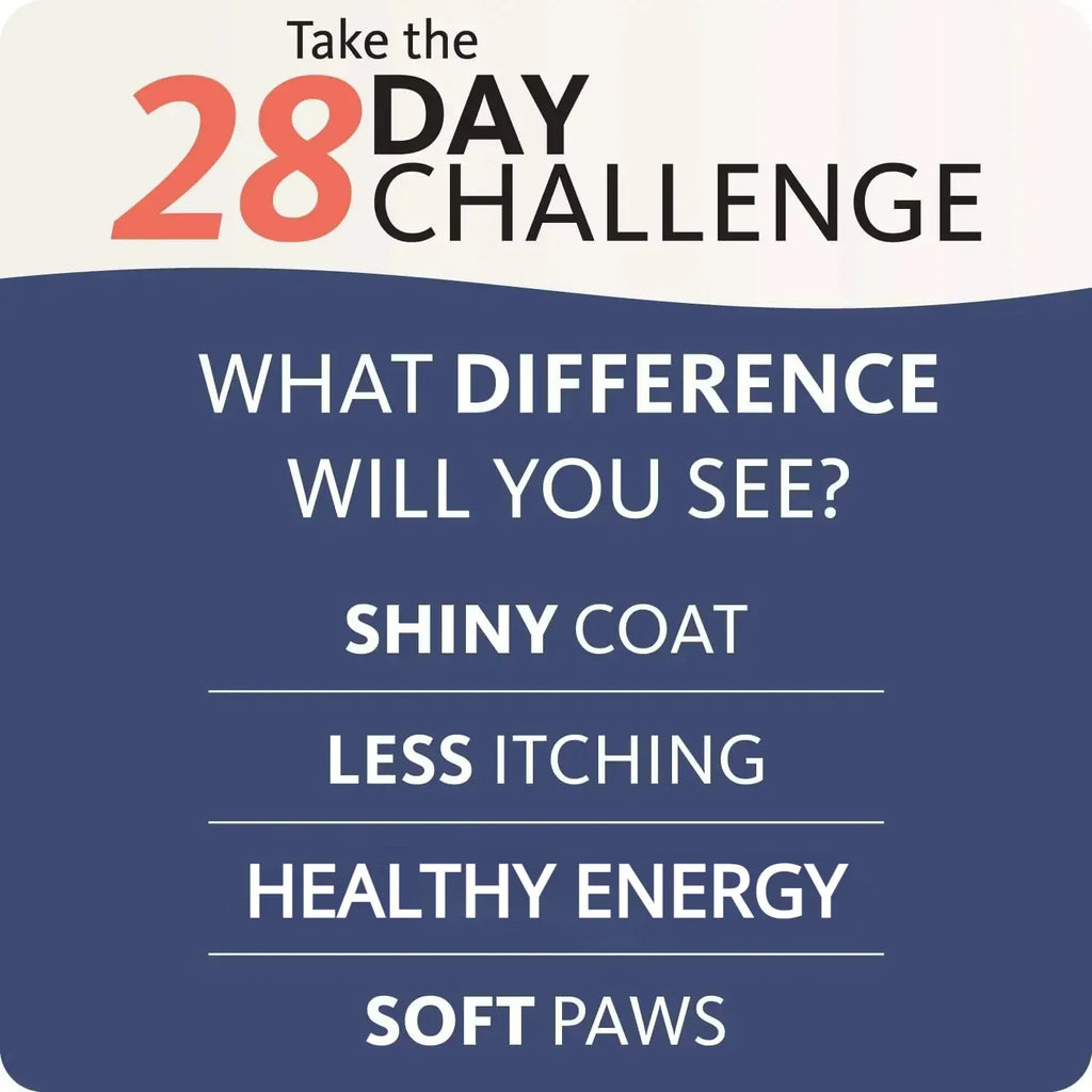 Brilliant Salmon Oil for Dogs & Cats — 200ml | 21 Omega Fatty Acids