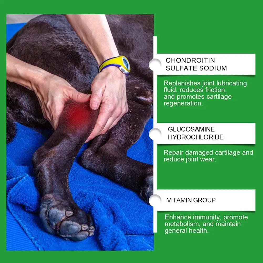 Hip & Joint Support Chews for Dogs — Glucosamine & Chondroitin | 80 Count