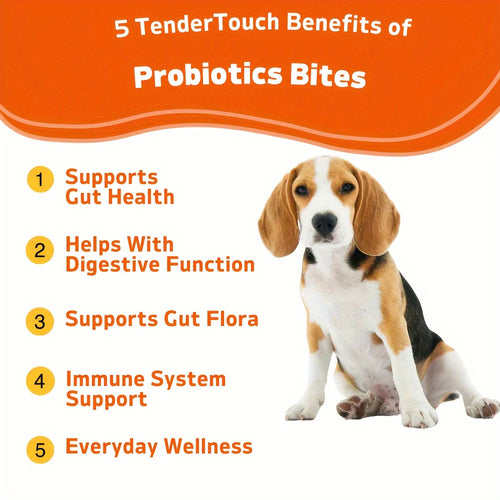 TenderTouch Probiotics for Dogs | 120 Soft Chews | Gut Health, Digestive Support & Immune Boost